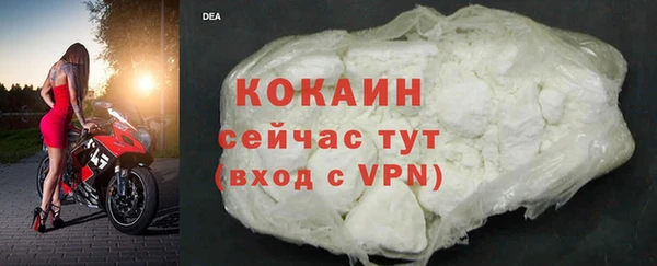 трава Белокуриха