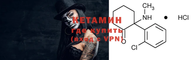 трава Белокуриха