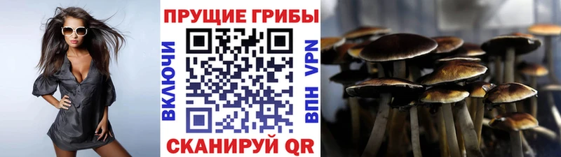 Псилоцибиновые грибы мицелий  цена   МЕГА как зайти  Змеиногорск 