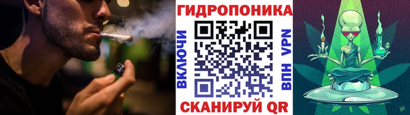 Бошки марихуана планчик  OMG как войти  Змеиногорск 